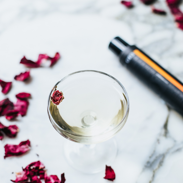 Functional Non-Alcoholic Cocktail Bitters - 100+ Servings - Amplify Your Cocktails - OTO Wellbeing