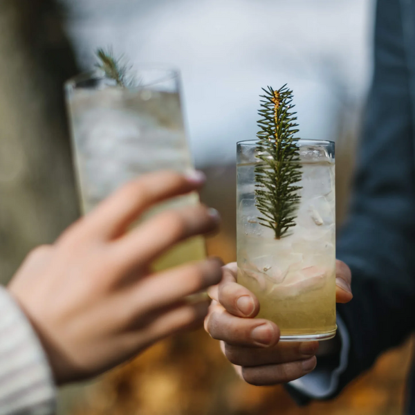 Feragaia 70cl | Dark Distilled Botanical Non-Alc Spirit | Made In Scotland