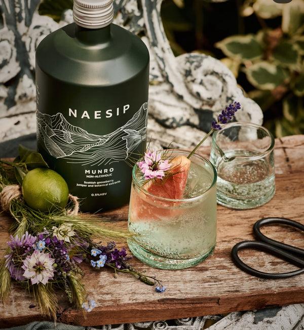 Naesip Munro - Scottish Gooseberry, Juniper & Botanical - APRIL FEATURED SPIRIT
