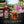 Summer Limited Edition PIMMS Spirit - English Garden