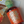 Wonderspritz Alcohol-Free Aperitif | MARCH FT SPIRIT