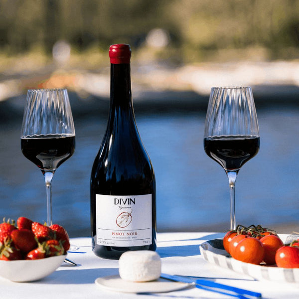 DIVIN 'Vigneron' Pinot Noir | Alcohol-Free Red Wine