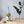 Sparkling White Rose by LA Brewery - 750ml - Champagne Alternative