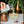 September Sale Alcohol-Free Drinks Bundle | 48 Drinks