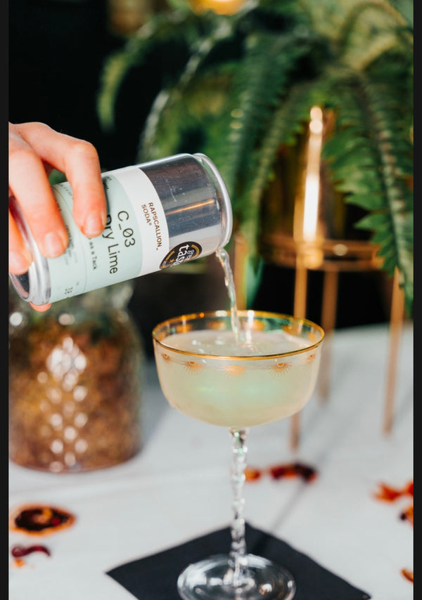 September Sale Alcohol-Free Drinks Bundle | 48 Drinks