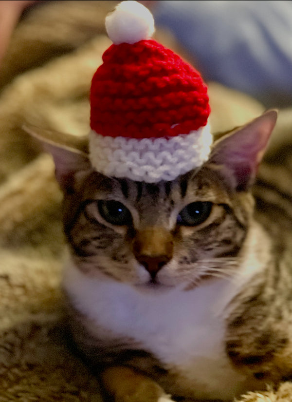 Hand-Knitted Bottle Hat Toppers - Knitted With Love 🧶