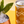 NOOT Alcohol-Free Functional Cocktails | Ready to Drink