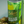 Ready to Drink Lime & Yuzu Alcohol-Free Mojito's | Belvoir Farm