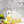 Small Batch Apple & Elderflower Cornish Cordial | 250ml | Artisan Brand