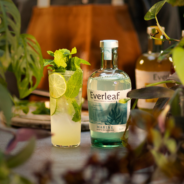 Mountain, Marine, Forest | Great Taste Award Winners | Everleaf Drinks