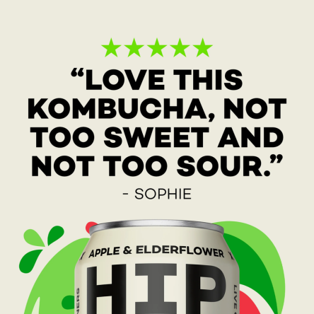 24x Cans Apple & Elderflower Kombucha | All Natural