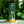 12x Cans 'The Green One' | Mood Enhancing Botanical Drink