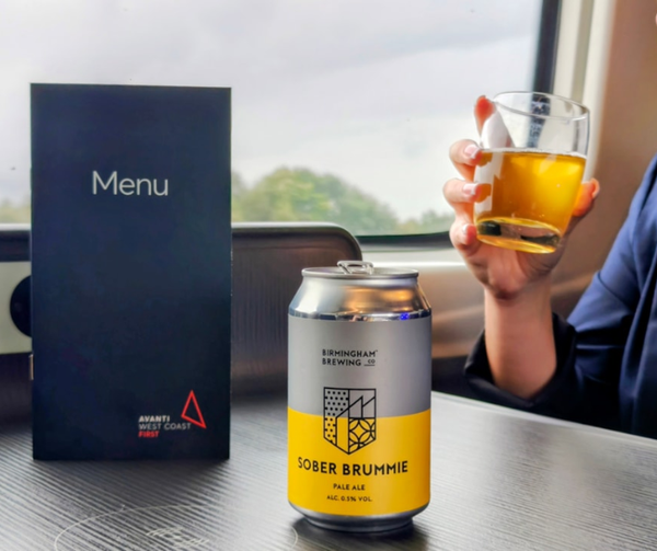 Artisan Beer Collection | Alcohol-Free | 12 Cans