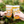 Artisan Beer Collection | Alcohol-Free | 12 Cans