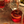 CLUBMERA Bitter Blood Orange Alcohol-Free Cocktail – 200ml
