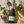 Wild Idol Sparkling White | Award Winning Alcohol-Free Wine