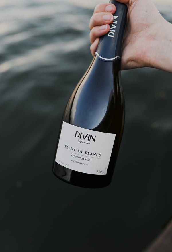 DIVIN | Premium Vigneron Sparkling Chenin | FT JOMO WINE CLUB