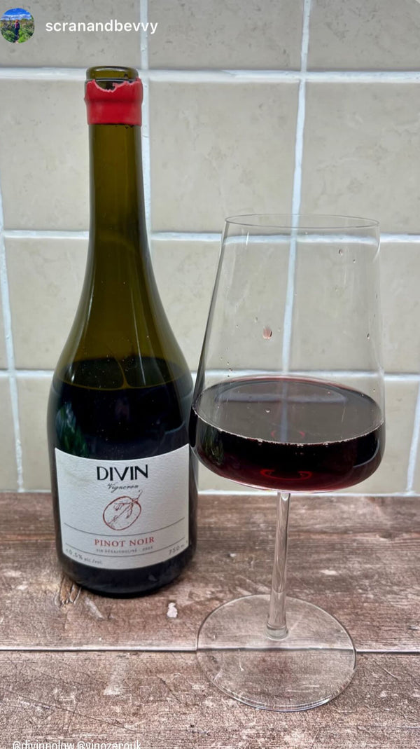 The Alcohol-Free Red, White & Rosé Wine Collection